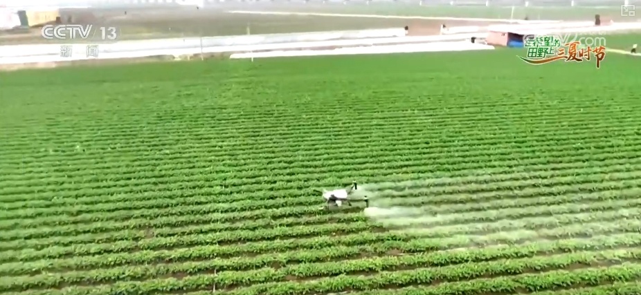 “新农人”玩转智慧农业 农业生产有“智”又有“质”