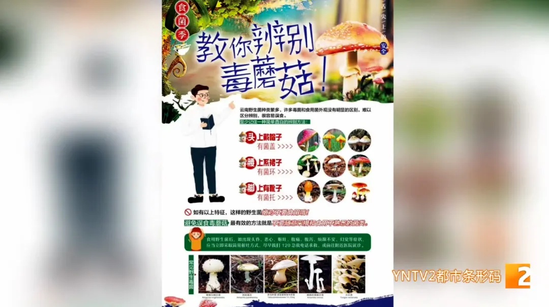 “空中飘蜘蛛网还有小人人”……医院接诊这类中毒病例开始增多！