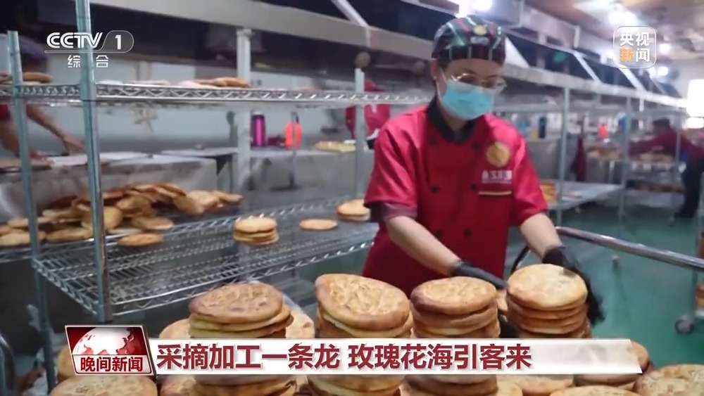 既防风固沙又助农增收 沙漠玫瑰带动多产业发展 既防风固沙又助农增收 沙漠玫瑰带动多产业发展