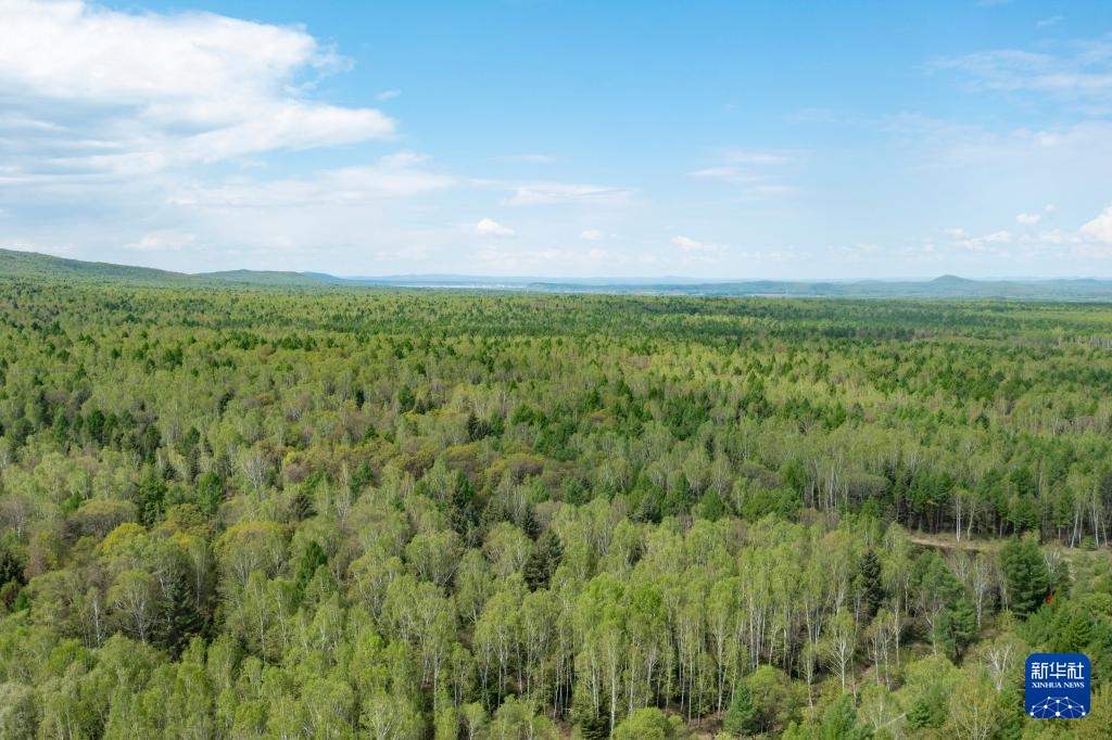 天空之眼瞰祖国丨“林都”伊春的初夏