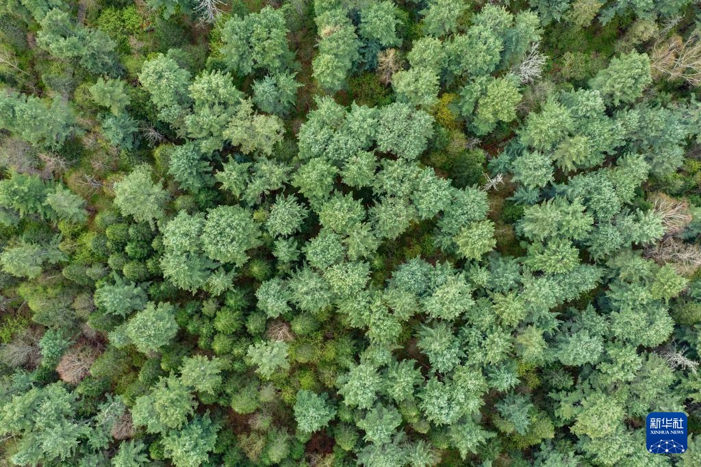 天空之眼瞰祖国丨“林都”伊春的初夏