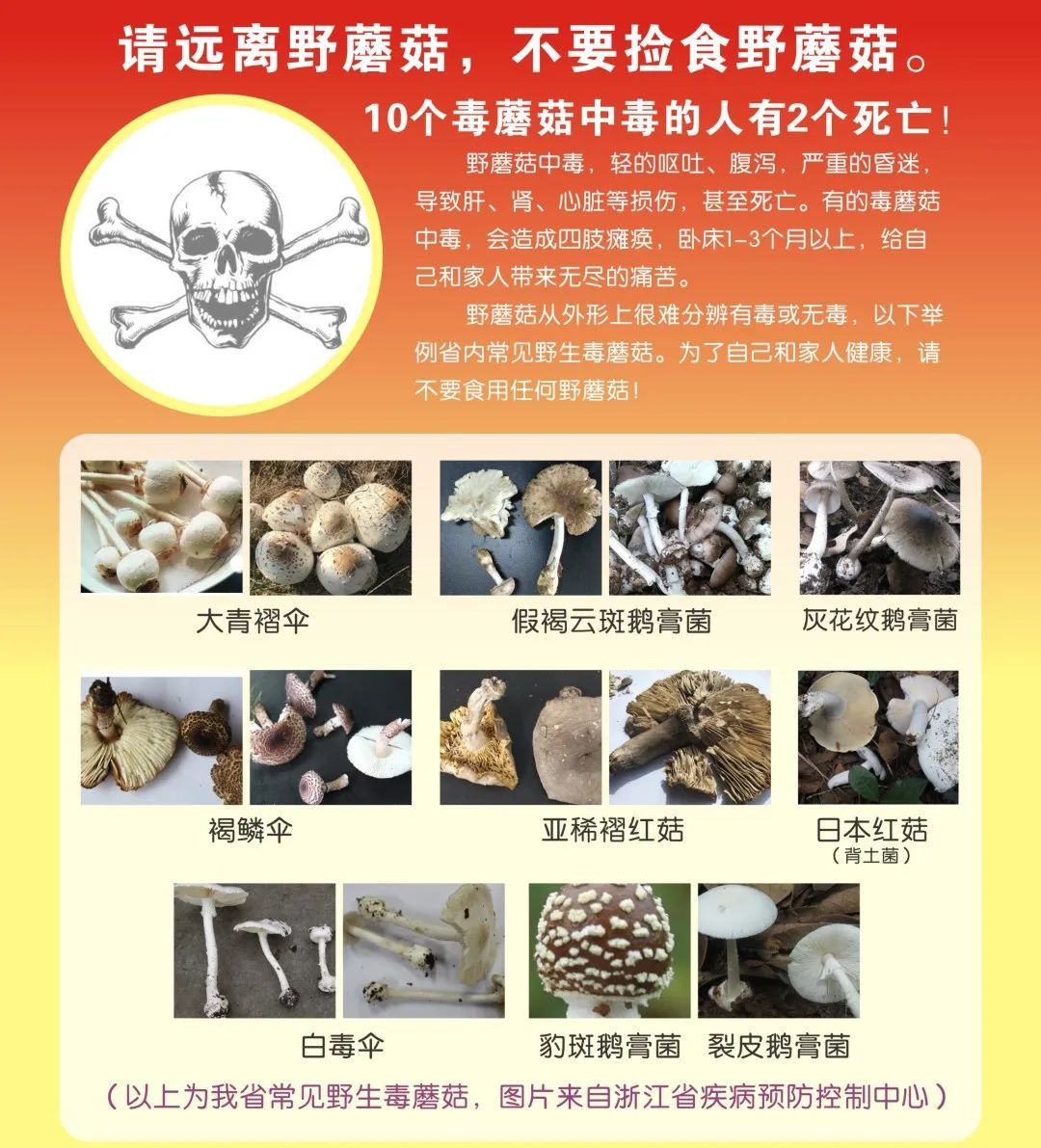 不要吃！不要吃！不要吃！浙江多地出现，严重可致死