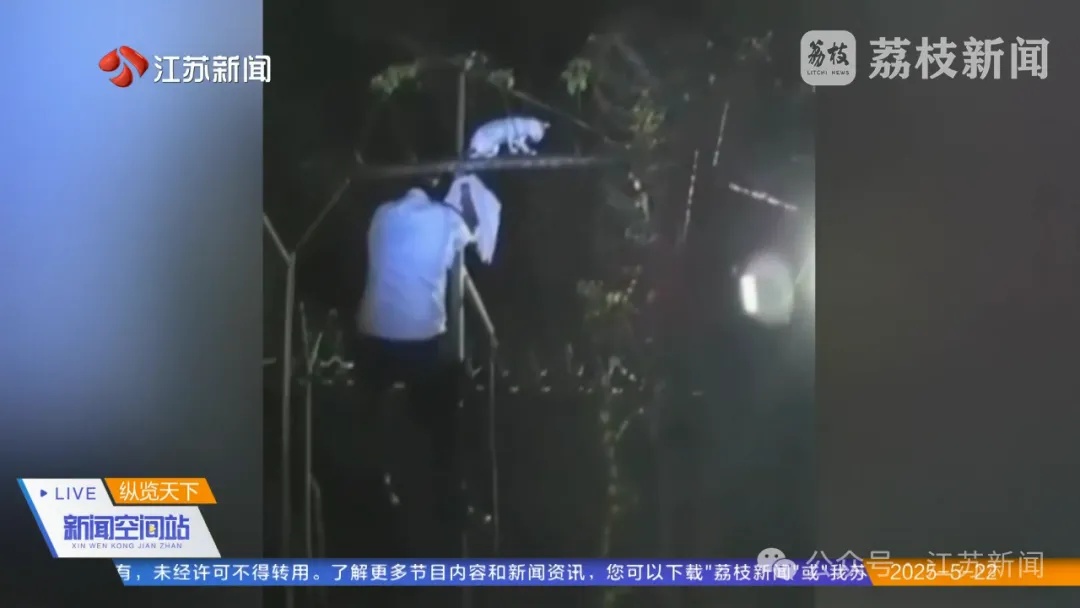 一猫咪“偷运”毒品被抓