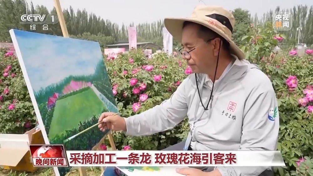 既防风固沙又助农增收 沙漠玫瑰带动多产业发展 既防风固沙又助农增收 沙漠玫瑰带动多产业发展
