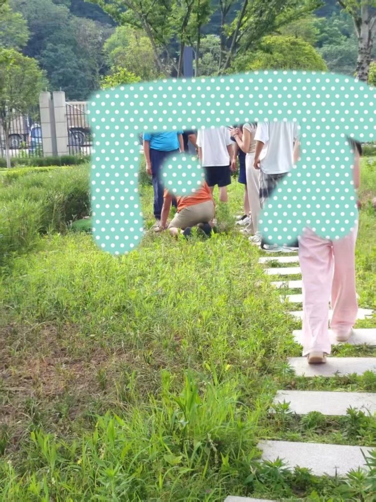 一人被免职!大学生掉化粪池遇难后,学校装了警示牌 一人被免职!大学生掉化粪池遇难后,学校装了警示牌