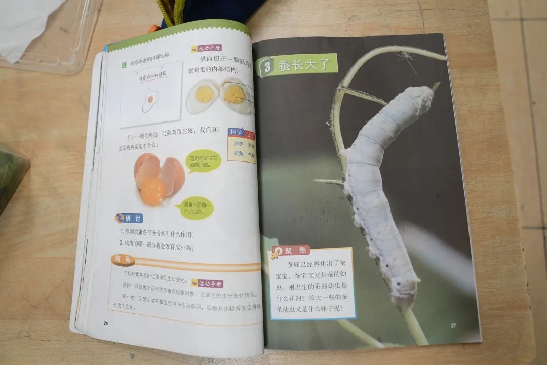 带“蚕宝宝”教具上地铁被拦？家长喊话成都地铁“网开一面”