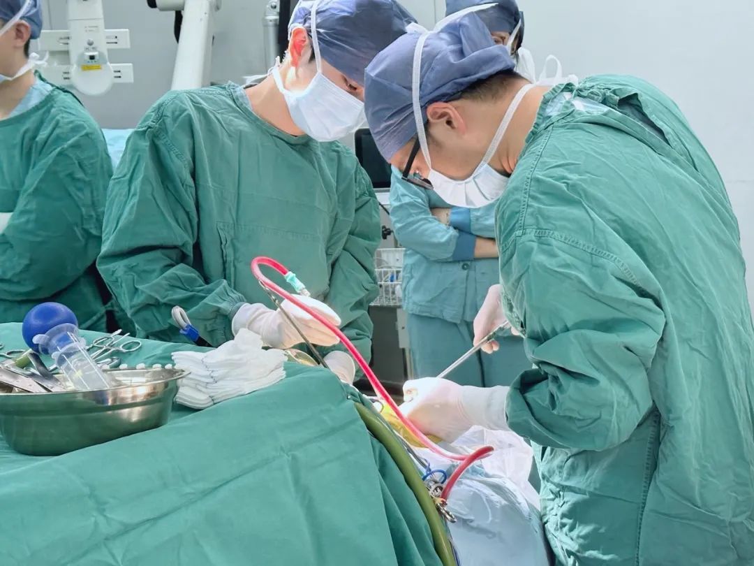 6cm铁钉直插女子颅内!复查CT后,医生被惊呆了:这种情况太罕见 6cm铁钉直插女子颅内!复查CT后,医生被惊呆了:这种情况太罕见