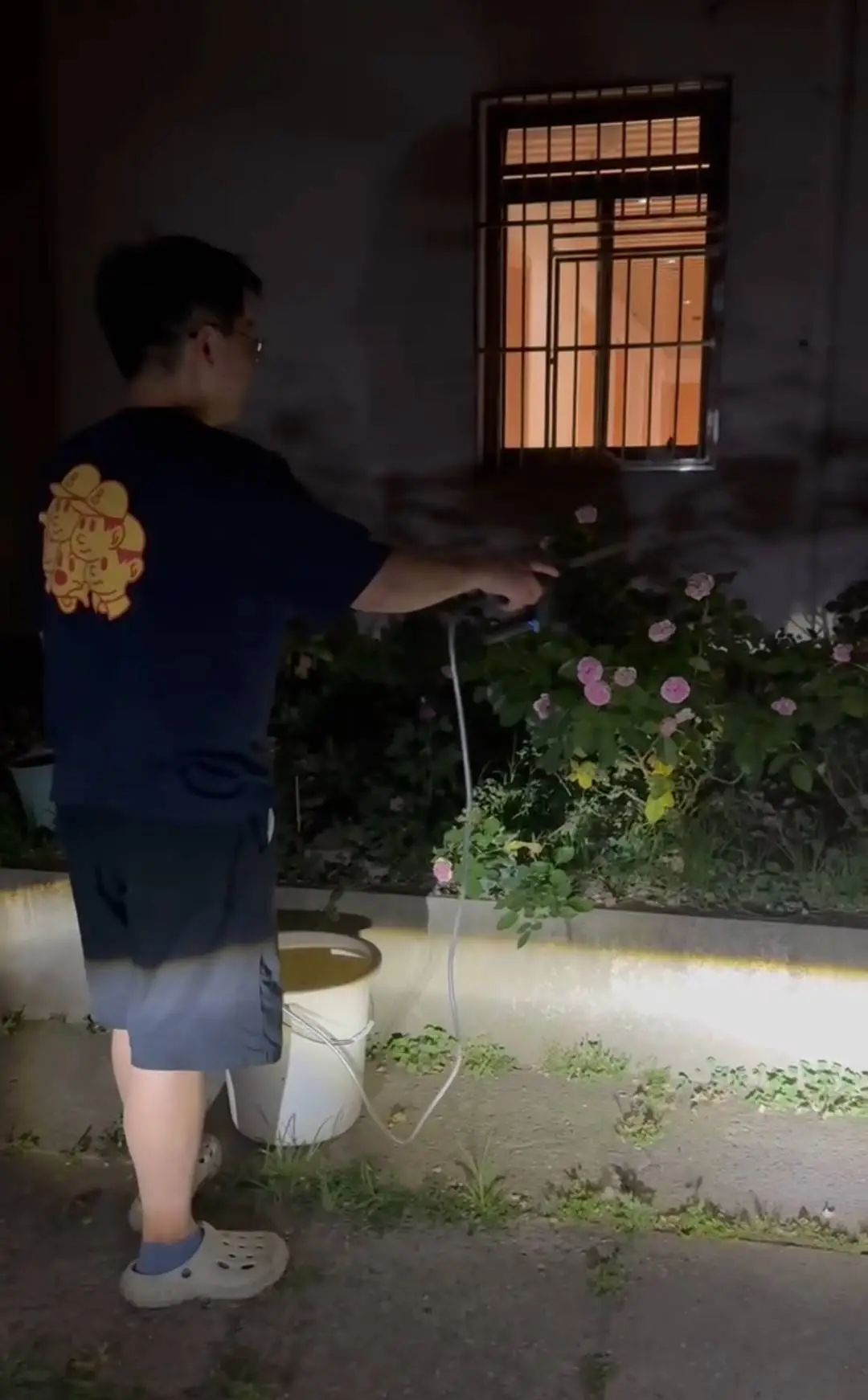 寻找“护花使者”！川大男生在宿舍楼下种了200多种月季