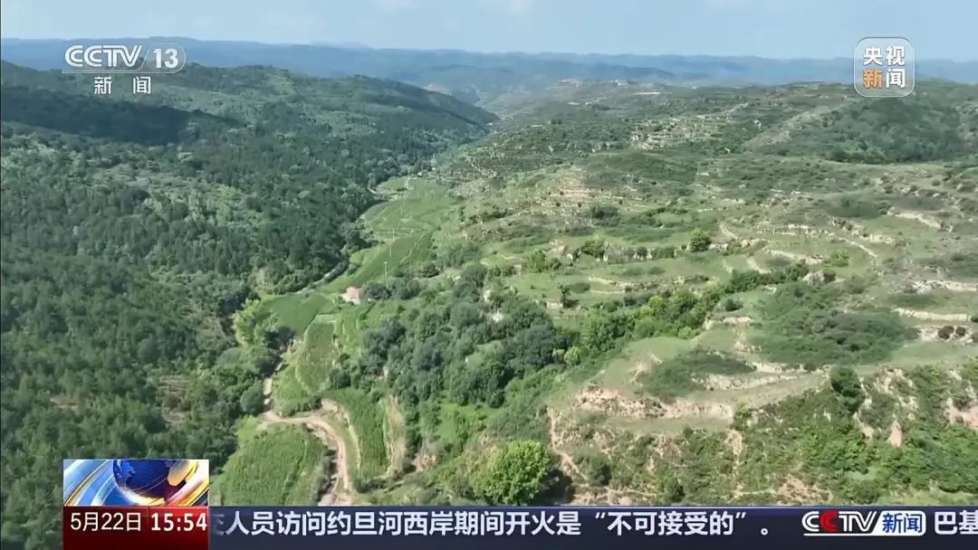 山西境内穿越百公里 看华北豹“搬家”记