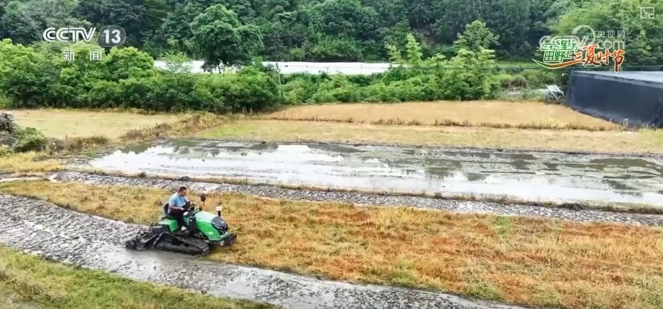 “新农人”玩转智慧农业 农业生产有“智”又有“质”