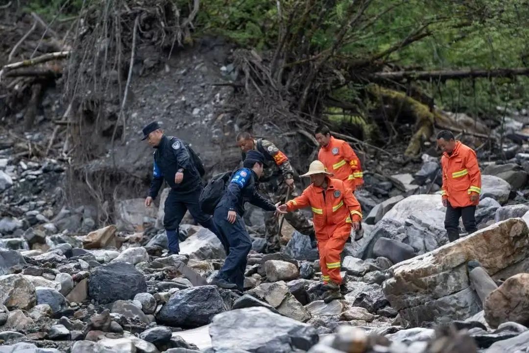 熊猫树上打哈欠,黑熊抓痕好清晰!川陕甘三省联合巡护直击 熊猫树上打哈欠,黑熊抓痕好清晰!川陕甘三省联合巡护直击