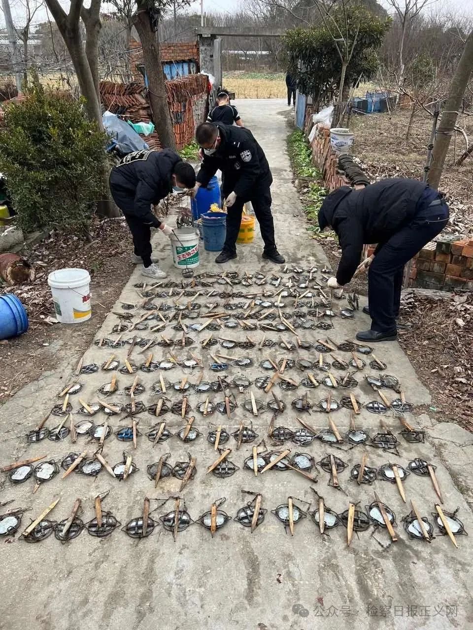 非法交易1.8万余张黄鼠狼皮毛，主犯竟是“毛笔世家”传人