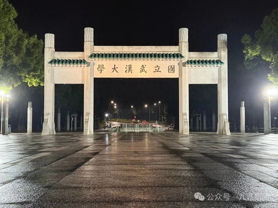 武汉有几个区，这轮暴雨很猛！积水为何集中在这几个地方？