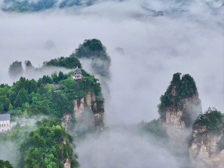 雨后张家界美成了仙境
