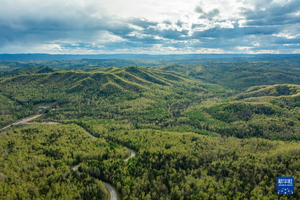 天空之眼瞰祖国丨“林都”伊春的初夏
