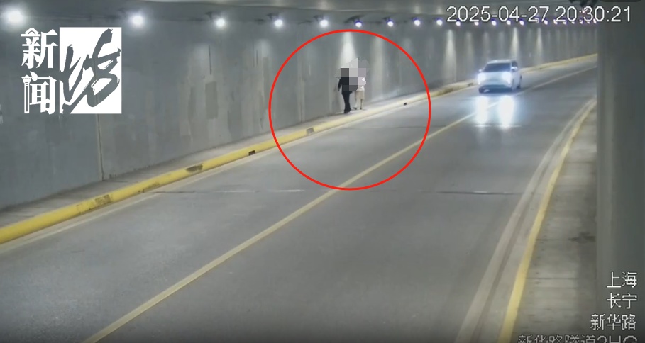 为了“出片”，命也不要了？一隧道成网红拍照点！交警：严查！