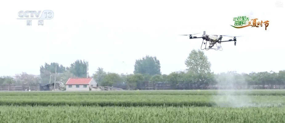 “新农人”玩转智慧农业 农业生产有“智”又有“质”