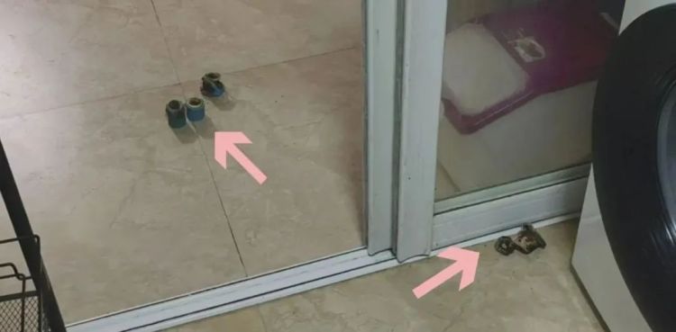 女子一个举动，整层楼陷入恐慌，4个小东西竟是“元凶”？
