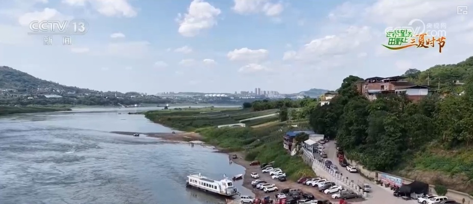 “智慧农业”点亮农旅融合发展 江上“菜篮子”将“流量”变“增量” “智慧农业”点亮农旅融合发展 江上“菜篮子”将“流量”变“增量”