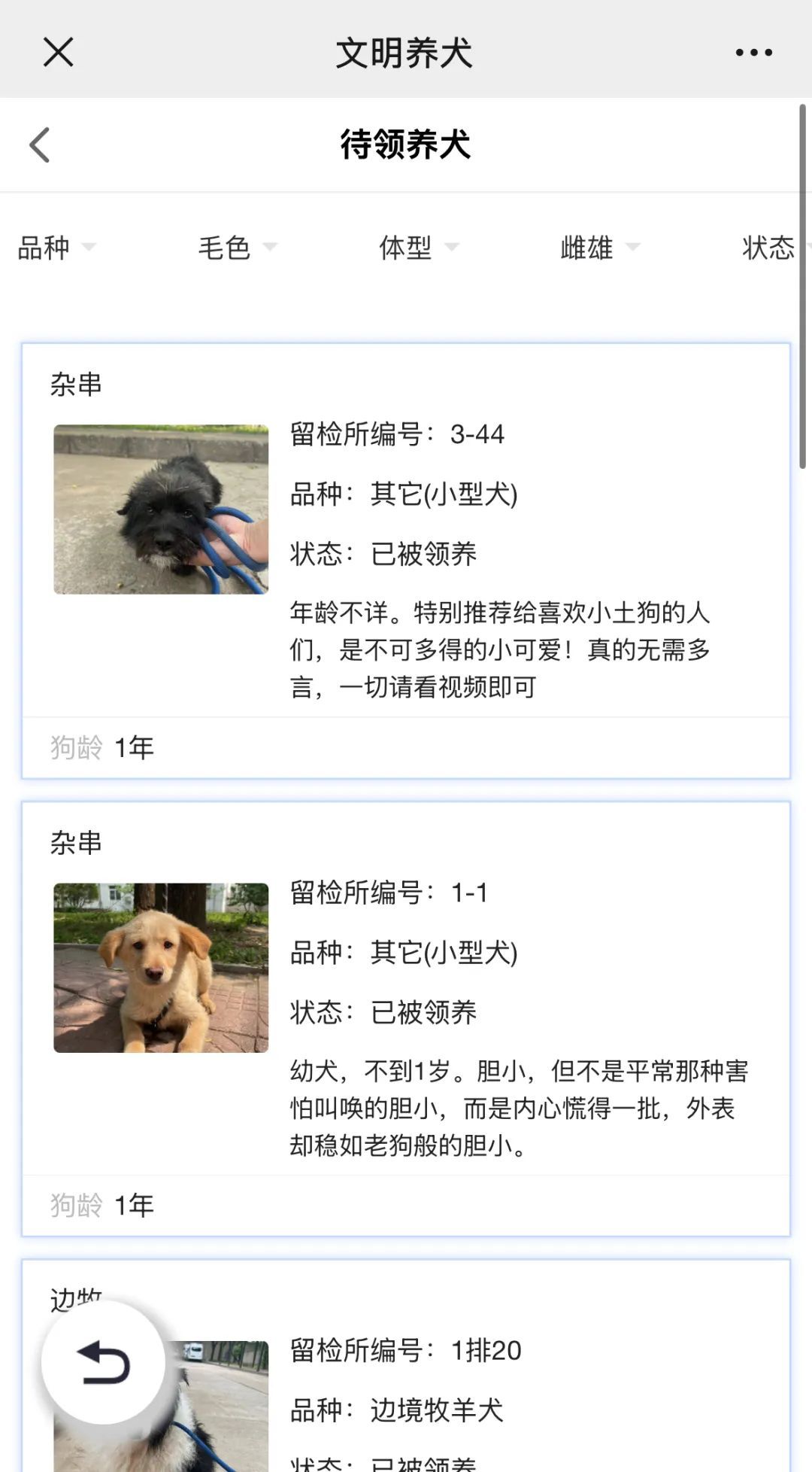 北京公安狗狗领养文案“火出圈”!心动之后,如何行动?我们打听了—— 北京公安狗狗领养文案“火出圈”!心动之后,如何行动?我们打听了——