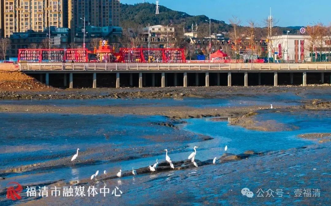 不少人到福州这里挖蛏！紧急提醒：危险！