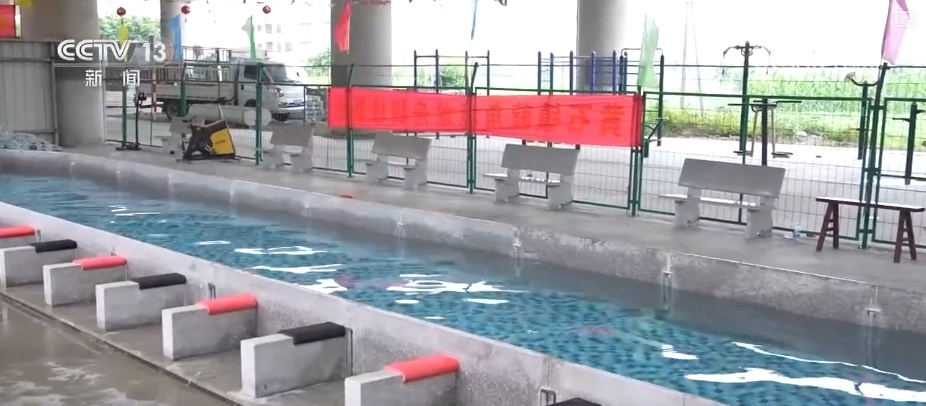 迎端午，氛围感拉满！“织”粽子“编”艾叶 文化传承活在当下、留在生活里