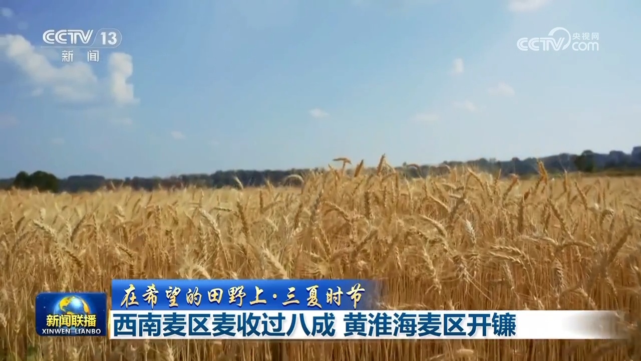 【在希望的田野上·三夏时节】西南麦区麦收过八成 黄淮海麦区开镰