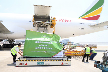 国际咖啡豆航班来啦 国际咖啡豆航班来啦