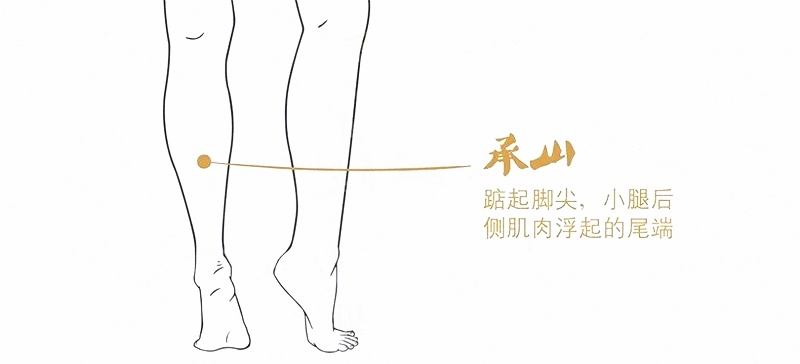 夏天按这5个穴位，健脾祛湿，神清气爽