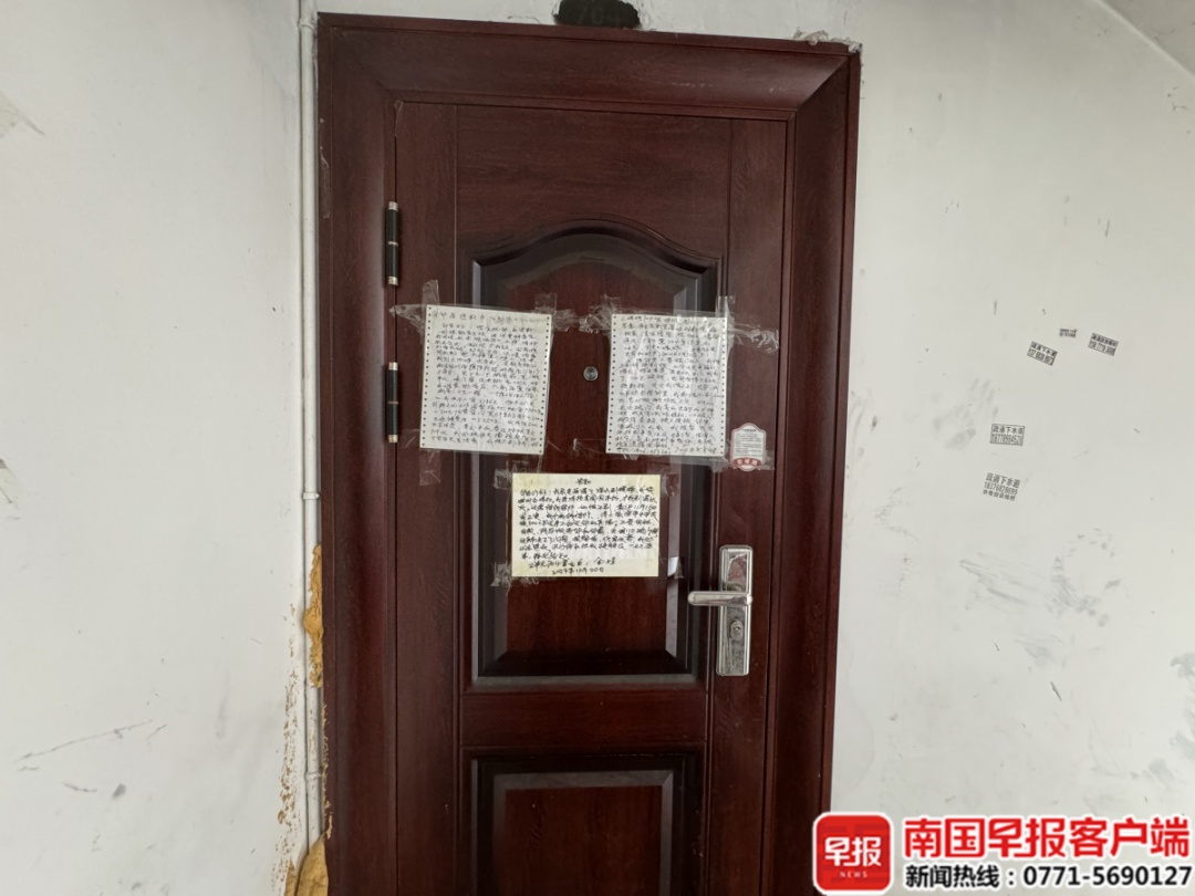 南宁一小区多人被跳蚤叮咬！一名养猫业主写了道歉信