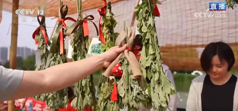 迎端午，氛围感拉满！“织”粽子“编”艾叶 文化传承活在当下、留在生活里
