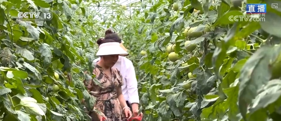 “智慧农业”点亮农旅融合发展 江上“菜篮子”将“流量”变“增量” “智慧农业”点亮农旅融合发展 江上“菜篮子”将“流量”变“增量”