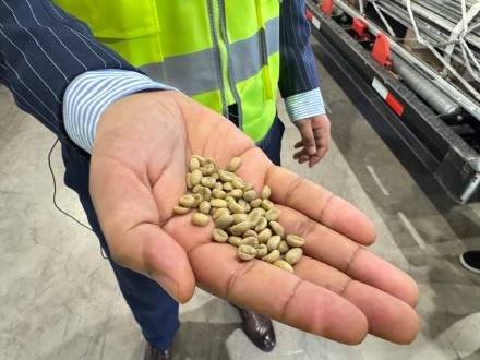 国际咖啡豆航班来啦 国际咖啡豆航班来啦