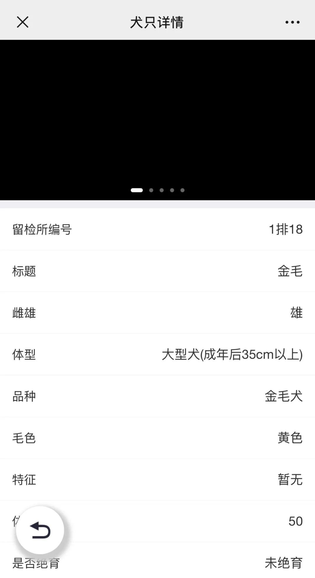 北京公安狗狗领养文案“火出圈”!心动之后,如何行动?我们打听了—— 北京公安狗狗领养文案“火出圈”!心动之后,如何行动?我们打听了——