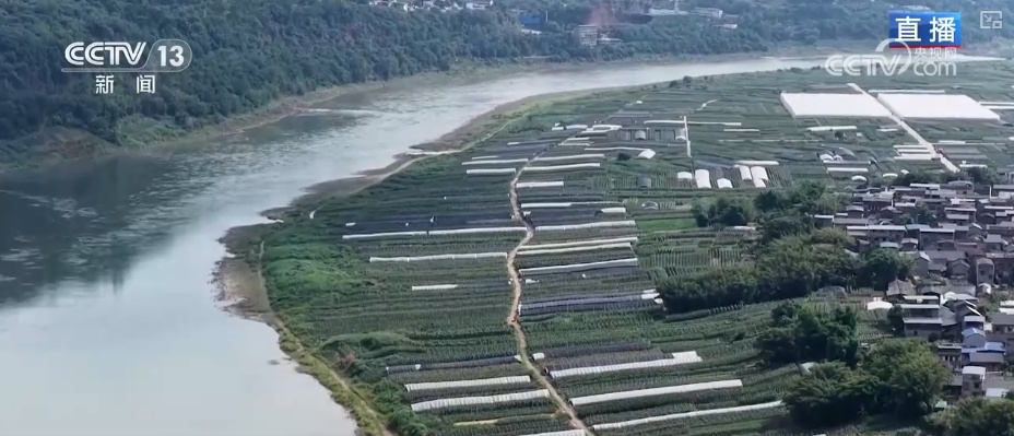 “智慧农业”点亮农旅融合发展 江上“菜篮子”将“流量”变“增量” “智慧农业”点亮农旅融合发展 江上“菜篮子”将“流量”变“增量”