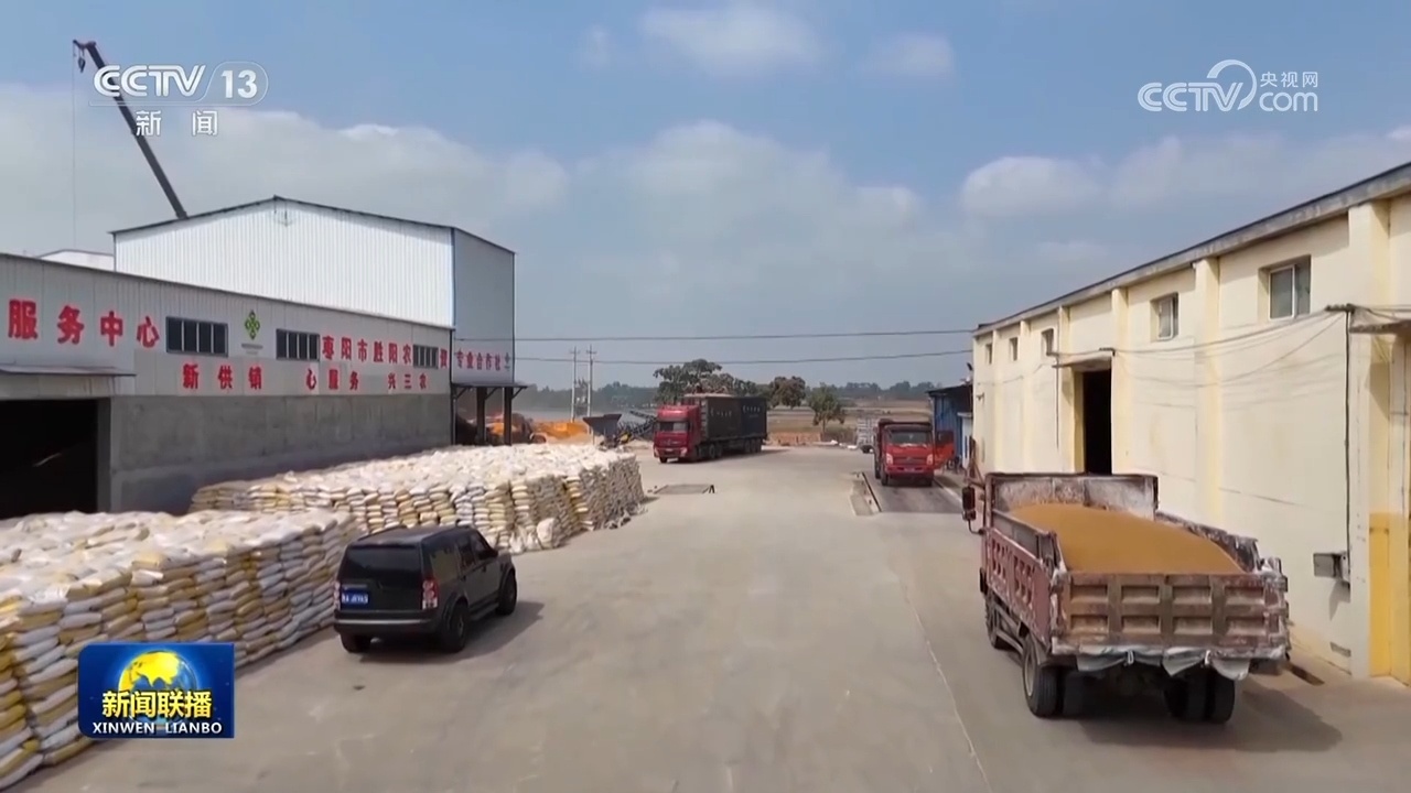 【在希望的田野上·三夏时节】西南麦区麦收过八成 黄淮海麦区开镰