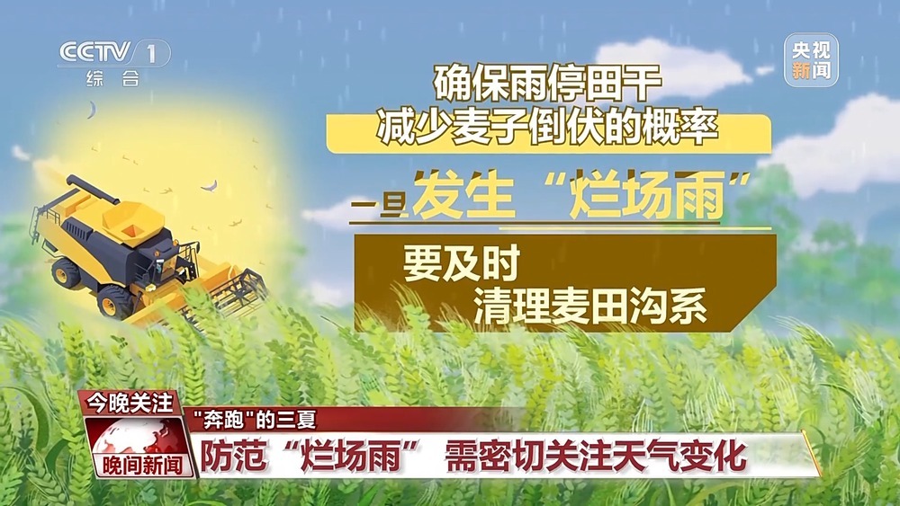 今夏各大麦区是否会遭遇“烂场雨”？该如何防范？一文了解
