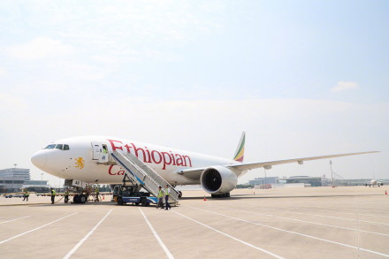 国际咖啡豆航班来啦 国际咖啡豆航班来啦