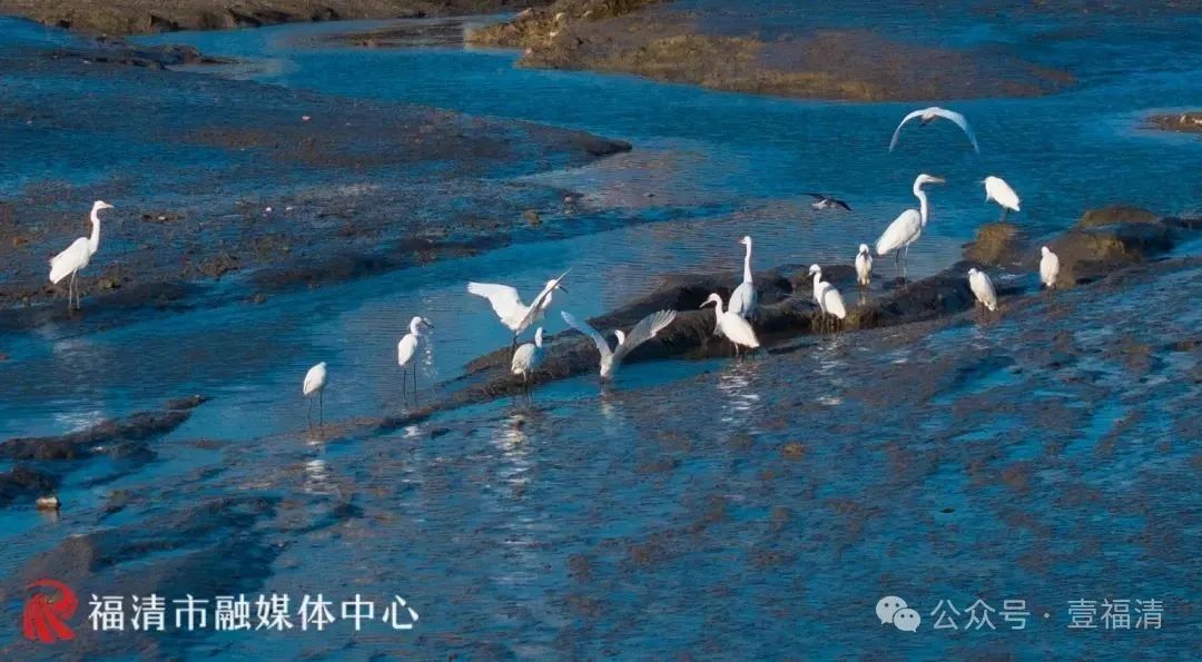 不少人到福州这里挖蛏！紧急提醒：危险！