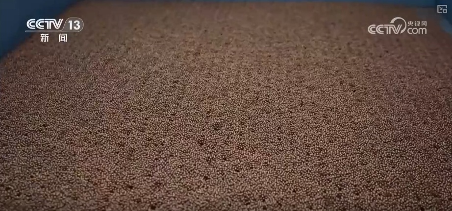 老药方穿上“科技新衣” 转化平台让“好方”成为“好药”