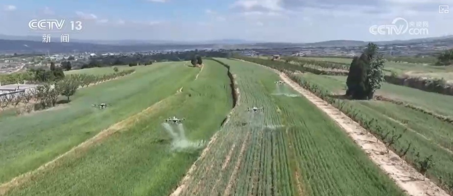 大中型灌区发挥抗旱保灌主力军作用 为保障夏粮丰收提供水利支撑