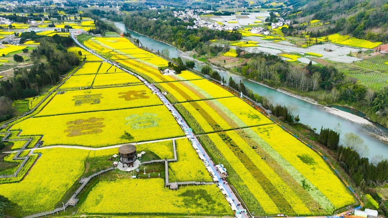 四川芦山：产业“破茧” 生态“织锦” 擘画乡村振兴新貌