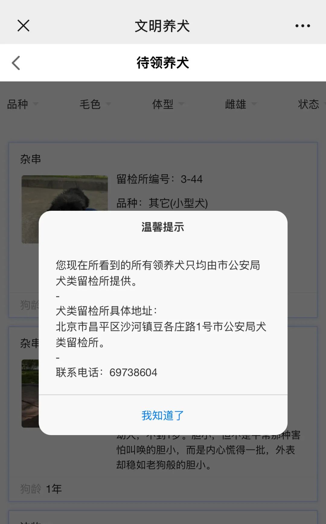 北京公安狗狗领养文案“火出圈”!心动之后,如何行动?我们打听了—— 北京公安狗狗领养文案“火出圈”!心动之后,如何行动?我们打听了——