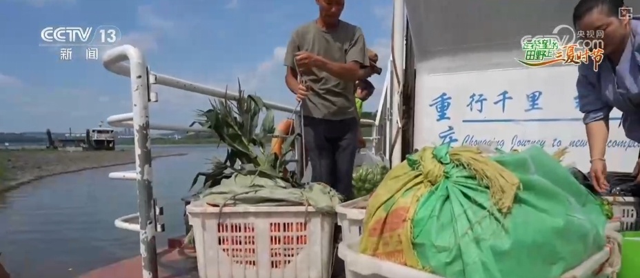 “智慧农业”点亮农旅融合发展 江上“菜篮子”将“流量”变“增量” “智慧农业”点亮农旅融合发展 江上“菜篮子”将“流量”变“增量”