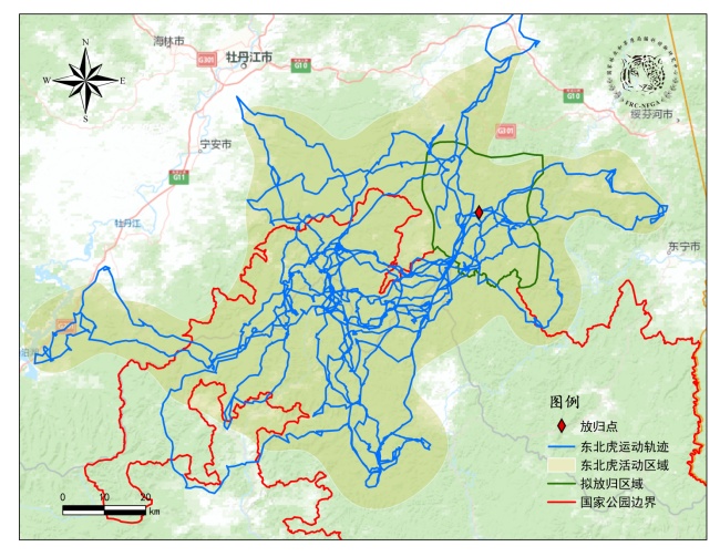 突传喜讯！曾进入黑龙江引发关注……