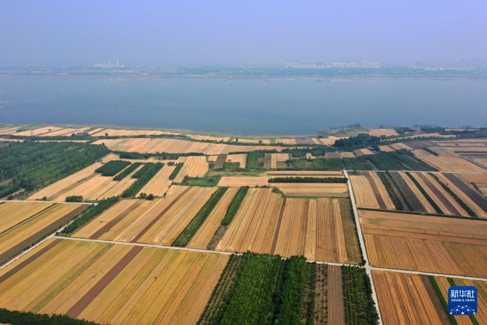 飞阅中国丨金色田野 麦田如画