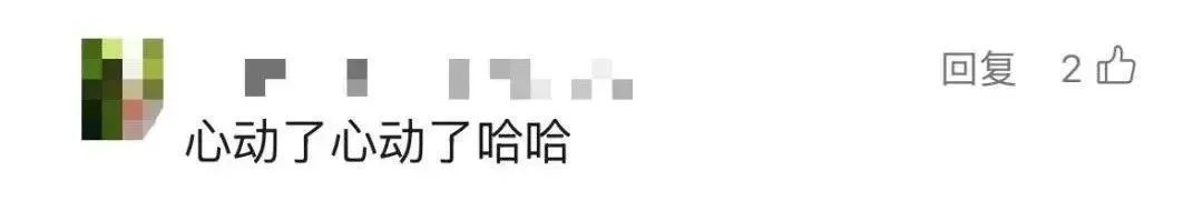 价格大跳水，低至1.3折！网友：是心动啊