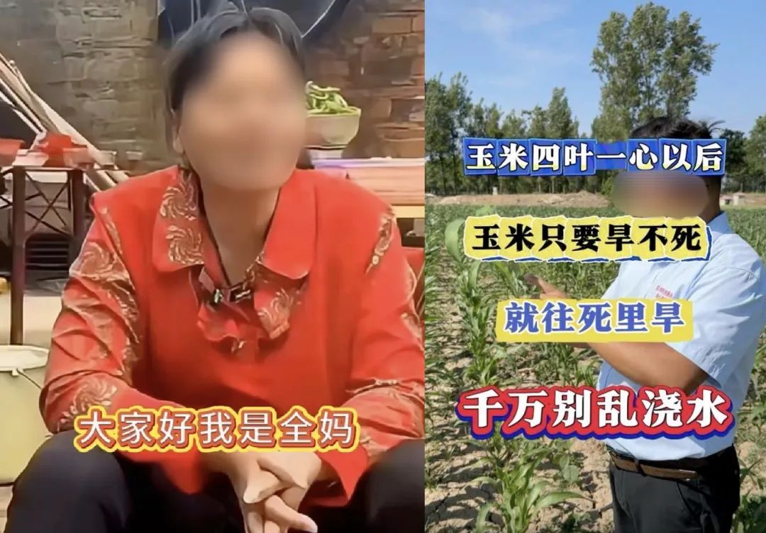 从严打击!微信发布公告! 从严打击!微信发布公告!