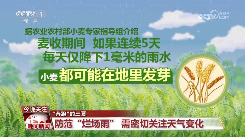 降雨天气对夏收有何影响?该如何防范?一文了解 降雨天气对夏收有何影响?该如何防范?一文了解