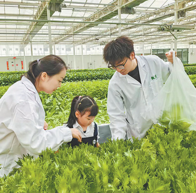 打造“库车样板”,推进乡村全面振兴 打造“库车样板”,推进乡村全面振兴